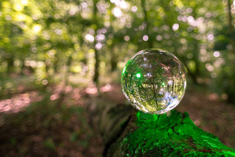 fotografen door kristal in het groen.